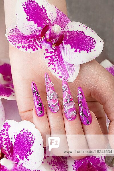 Lange schöne Maniküre mit Blumen auf weiblichen Fingern. Nägel Design. Nahaufnahme. Bild im Studio auf einem weißen Hintergrund aufgenommen