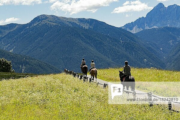 Eine Reitergruppe macht einen Ausflug in den Bergen