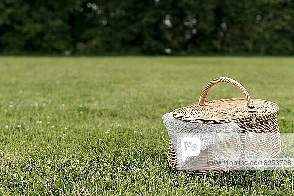 Picknickkorb Park Gras  Auflösung und hohe Qualität schönes Foto