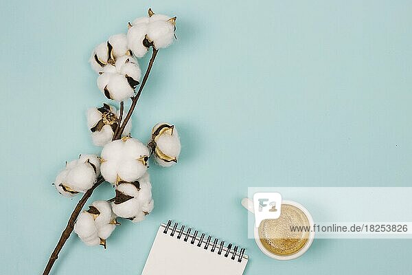 Overhead-Ansicht Baumwolle Blume Spirale Notizblock Kaffeetasse blauem Hintergrund  Auflösung und hohe Qualität schönes Foto