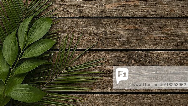 Draufsicht schöne Pflanze Blätter mit Kopie Raum. Auflösung und hohe Qualität schönes Foto