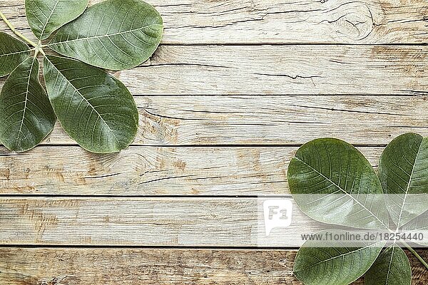 Draufsicht Blätter mit Kopierraum. Auflösung und hohe Qualität schönes Foto