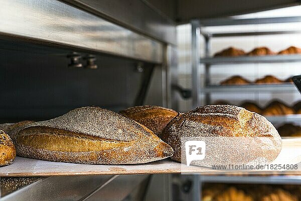 Hölzerne Schaufel mit frisch gebackenem Brot aus dem Ofen. Auflösung und hohe Qualität schönes Foto