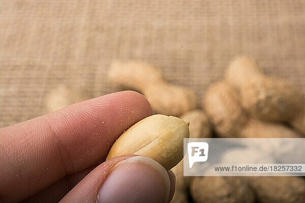 Erdnüsse in der Hand und auf einem Leinenhintergrund