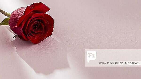Nahaufnahme Ansicht valentine s Tag Konzept mit Rosen