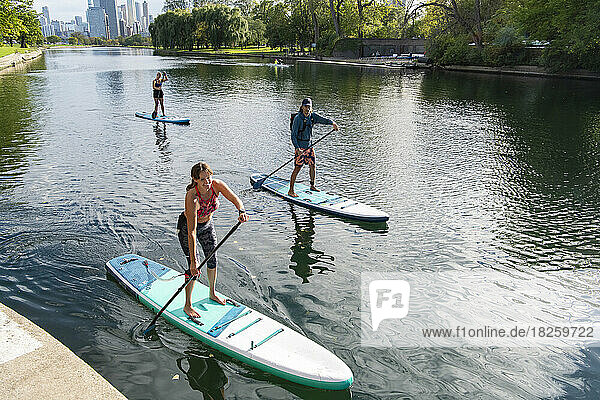 High angle view of female and male friends paddleboarding in river