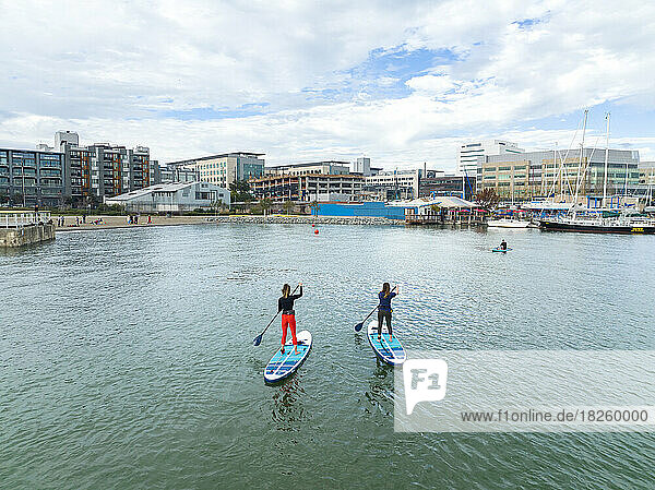 Rear view of female friends paddleboarding in sea