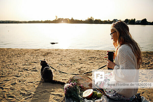 Blonde Woman On The Beach  Picnic With Kitten
