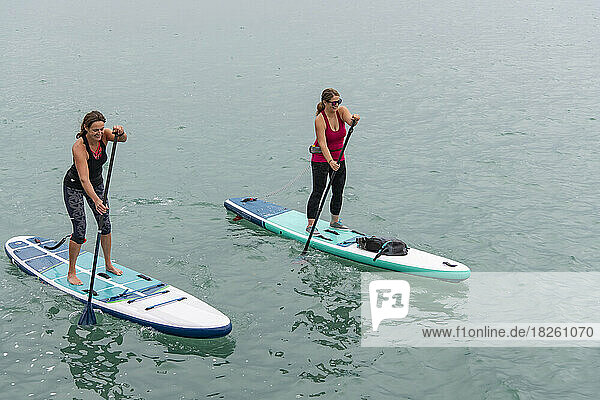 Full length of happy female friends paddleboarding together in lake