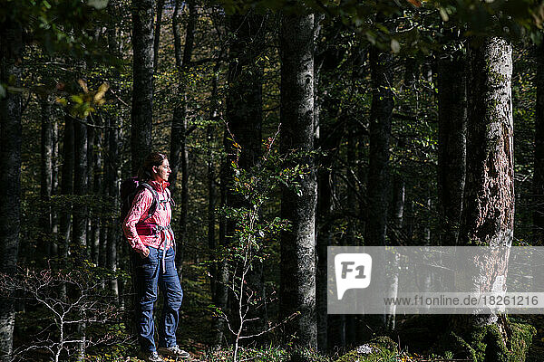Hiker woman contemplating the forest landscape.