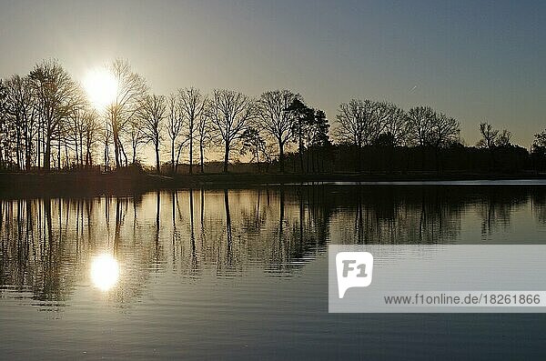 Landschaft See Bäume Spiegelung Sonnenaufgang im Winter die kahlen Bäume spiegeln sich im Wasser vom See wieder