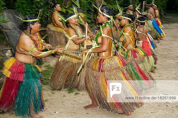 Traditionsgruppe Tänzer von Insel Yap tanzen in historischer Kleidung Kopfschmuck führt traditioneller ritueller Bambustanz mit Bambusstöcke auf  Insel Yap  Yap State  Föderierte Staaten von Mikronesien FSM