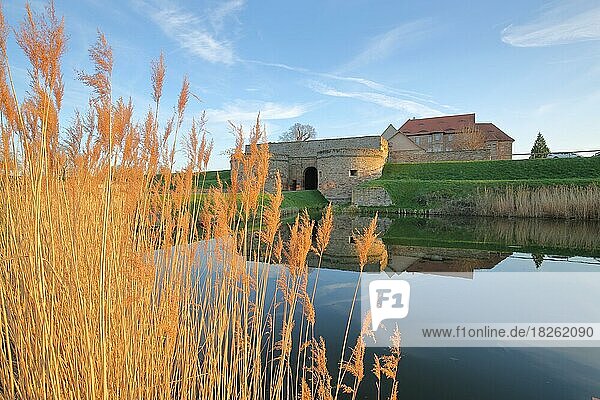 Renaissance Wasserschloss mit Spiegelung im Teich und goldenes Schilfgras  Burg  Festung  Heldrungen  Kyffhäuser  Thüringen  Deutschland  Europa