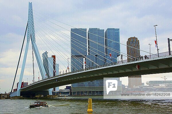 Erasmus Bridge  Rotterdam  Netherlands
