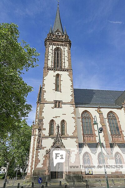 Sankt Elisabeth Kirche  Kirche am Herrngarten  Darmstadt  Hessen  Deutschland  Europa