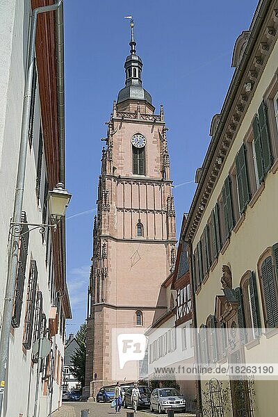 Pfarrkirche Sankt Peter und Paul Eltville Hessen Deutschland Europa