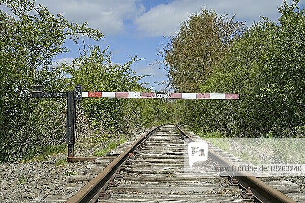 Stillgelegte Bahnstrecke nahe Ratzeburg  Schleswig-Holstein  Deutschland  Europa