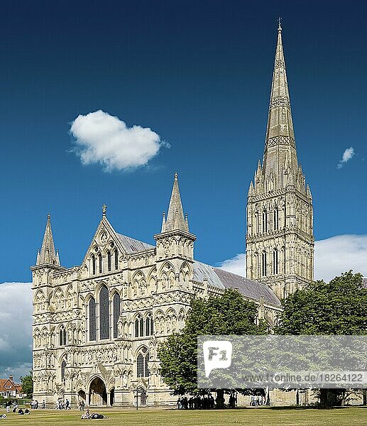Kathedrale von Salisbury  Salisbury  England  Großbritannien  Europa