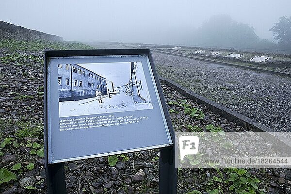 Altes Foto als Erinnerung an die Lagerstrasse im KZ Buchenwald  heute KZ-Gedenkstätte  Weimar  Thüringen  Deutschland  Europa