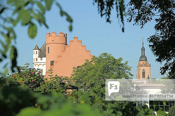 Kurfürstliche Burg  Burg Crass und und St. Peter und Paul in Eltville  Rheingau  Hessen  Deutschland  Europa