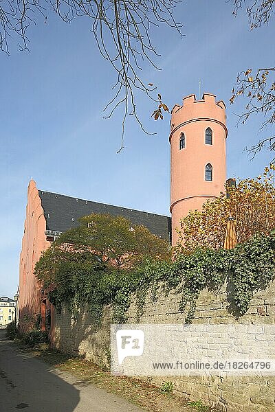 Crass Castle in Eltville  Rheingau  Taunus  Hesse  Germany  Europe