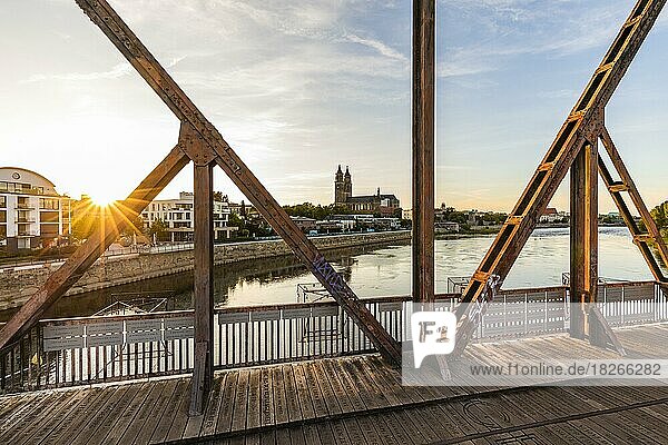 Historic lift bridge and Magdeburg Cathedral at sunset  Elbe  Magdeburg  Saxony-Anhalt  Germany  Europe