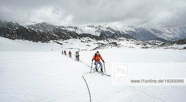 Ski tourers ascending the rope  ascent to the Obere Kräulscharte  Sommerwandferner glacier  Stubai Alps  Tyrol  Austria  Europe