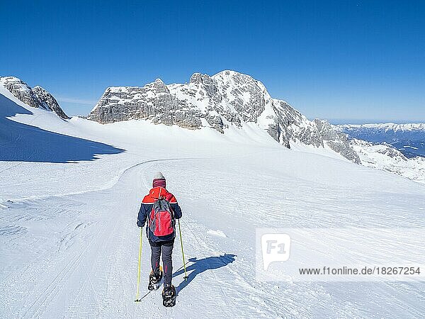 Snowshoe hiker on the Hallstätter Glacier  Hallstätter Glacier  Dachstein Massif  Styria  Austria  Europe