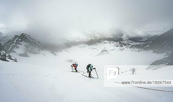 Ski tourers ascending the rope  ascent to the Obere Kräulscharte  Sommerwandferner glacier  cloudy mountains  Stubai Alps  Tyrol  Austria  Europe