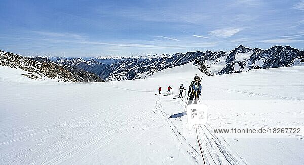 Ski tourers walking on the rope on the glacier  ascent on Berglasferner  view of mountain panorama  Stubai Alps  Tyrol  Austria  Europe