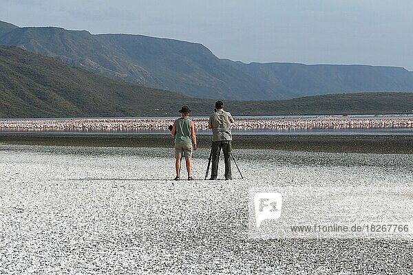 Photographer taking pictures of flamingos (Phoenicopteridae) at Lake Nakuru  Salt Lake  Rift Valley  Kenya  Africa