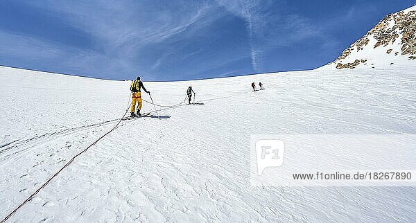 Skitourengeher gehen am Seil auf dem Gletscher  Aufstieg am Berglasferner  Stubaier Alpen  Tirol  Österreich  Europa