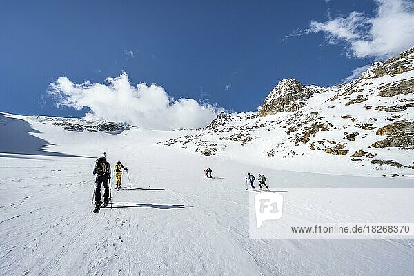 Group of ski tourers ascending Alpeiner Ferner  snow-covered mountain landscape with glacier  Stubai Alps  Tyrol  Austria  Europe