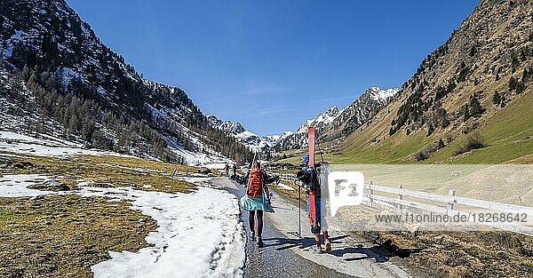 Ski tourers carrying skis on their backpacks with little snow in spring  ascent to the Franz Senn hut  Oberbergtal  Seduck  Tyrol  Austria  Europe
