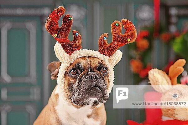 Französische Bulldogge Hund mit Weihnachten Rentiergeweih Kostüm Stirnband