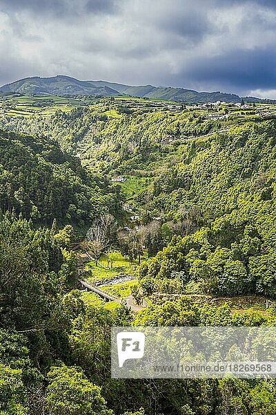Schönes Tal in Achada  Insel Sao Miguel  Azoren  Portugal  Europa