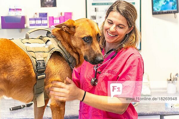 Tierklinik  Tierärztin in rosa Uniform  lächelnd neben einem braunen Hund
