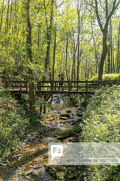 A young woman crossing a bridge in the Pagoeta park in Aia  Guipuzcoa  Basque Country  Spain  Europe