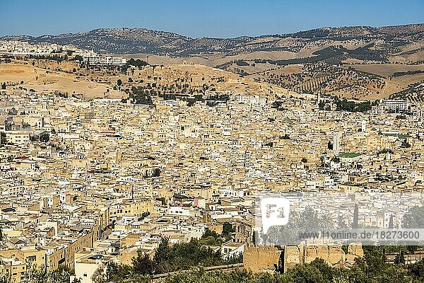 Schönes Stadtbild der arabischen Medina in Fez  Marokko  Nordafrika  Afrika