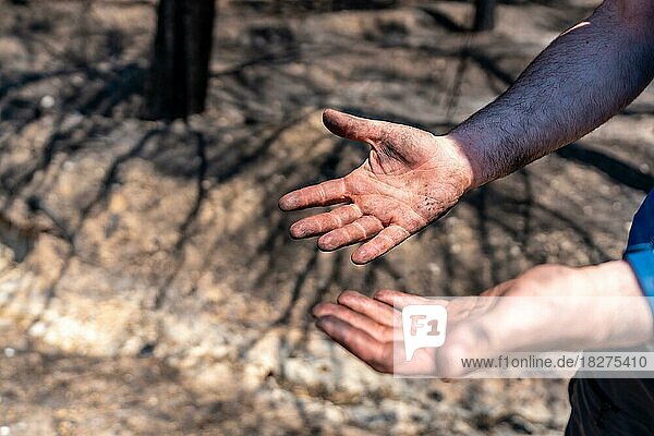 Hände eines Feuerwehrmannes im Waldbrand  verbrannter Wald  Klimawandel