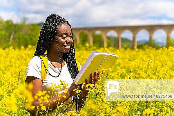 Ein Buch in der Natur lesend  ein Mädchen schwarzer Ethnie mit Zöpfen  eine Reisende  in einem Feld mit gelben Blumen