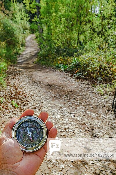 Kompass auf einem Waldweg