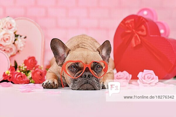 Französische Bulldogge trägt rote herzförmige Valentinstagsbrille zwischen saisonaler Dekoration