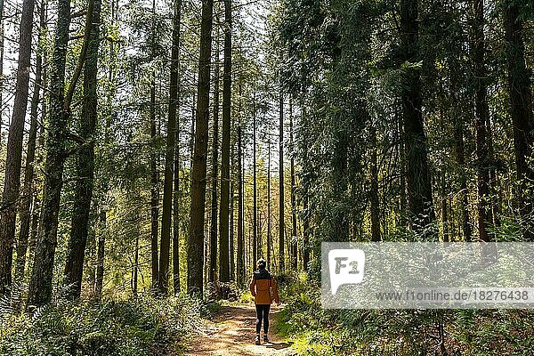 Eine junge Frau auf dem Weg durch den Wald zur Besteigung des Berges Andatza in der Stadt Usurbil  Gipuzkoa  Baskenland  Spanien  Europa