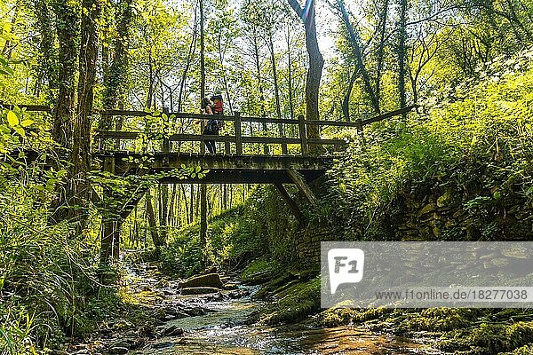 Eine junge Frau überquert eine Holzbrücke im Pagoeta-Park in Aia  Guipuzcoa  Baskenland  Spanien  Europa
