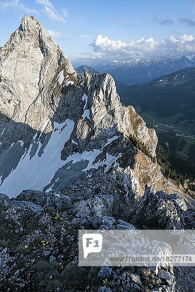 Abenstimmung  Gipfel der Roten Flüh  Tannheimer Berge  Allgäuer Alpen  Tirol  Österreich  Europa