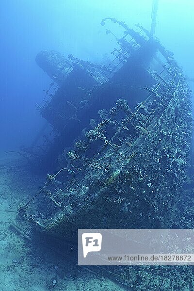 Wreck of the Giannis D in the backlight. Dive site Giannis D wreck  Hurghada  Egypt  Red Sea  Africa