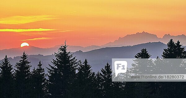 Aussicht auf Säntis und Alpstein bei Sonnenaufgang  Gottschalkenberg  Kanton Zug  Schweiz  Europa