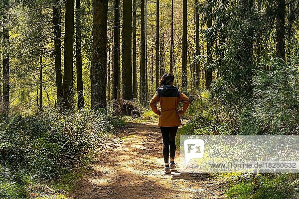 A young woman on the path through the forest to climb Mount Andatza in the town of Usurbil  Gipuzkoa  Basque Country  Spain  Europe