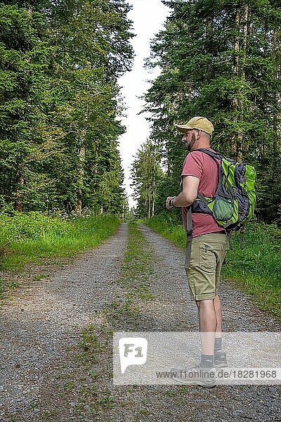 Man hiking in the forest  Black Forest  Bad Wildbad  Germany  Europe